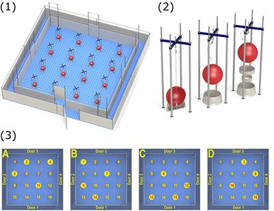 Low Birth Weight Impairs Acquisition of Spatial Memory Task in Pigs